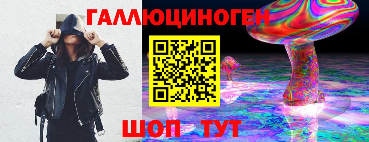 Новошахтинск  Галлюциногенные грибы GOLDEN TEACHER  Вход с VPN  где продают   Псилоцибиновые грибы Psilocybine cubensis 