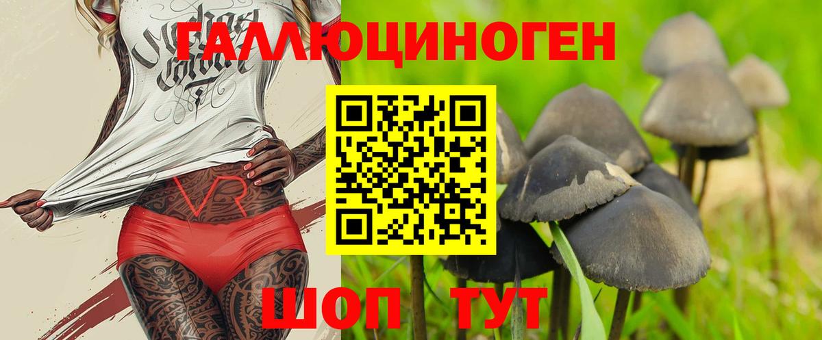 Псилоцибиновые грибы MAGIC MUSHROOMS Новошахтинск